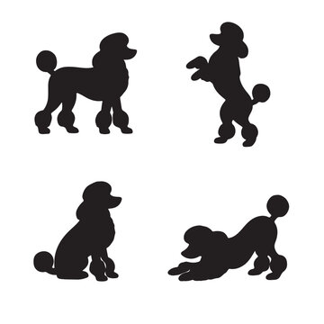 A collection of four distinct black silhouettes depicting poodle dogs in various active poses Vector