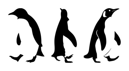 Obraz premium Penguin walking silhouette set with contrasting black outline against white background featuring penguin, walking, silhouette, wildlife with minimalism and illustration