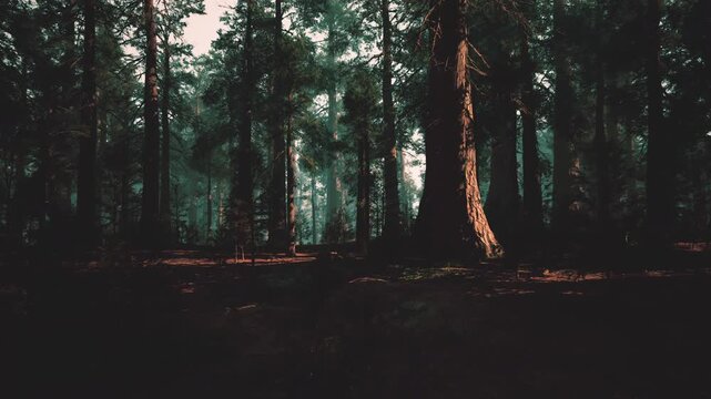 dense pine forest at dusk, cinematic stillness, deep shadows, mosscovered floor, towering trunks, distant mist, atmospheric tension, subtle light rays
