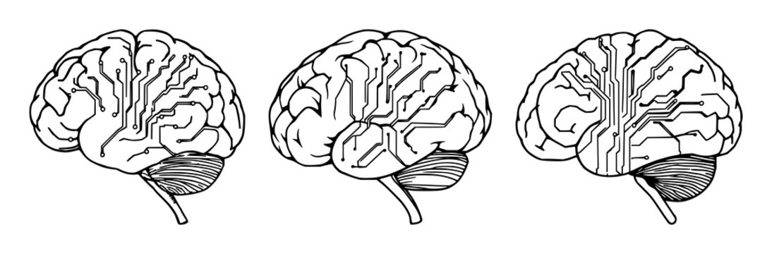 Brain set with intricate circuit board lines and electronic schematic details featuring neuron, electrical, schematic with metal and cybernetic