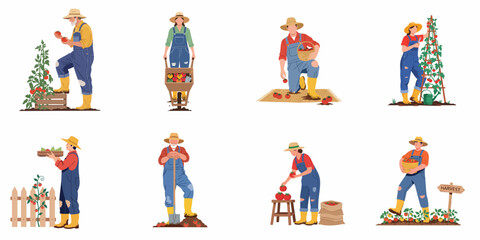 Fototapeta premium Set of diverse farmers harvesting ripe red tomatoes in various garden scenes, featuring flat vector character illustrations for agriculture and gardening themes.