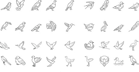 Fototapeta premium Birds Line Icon Set