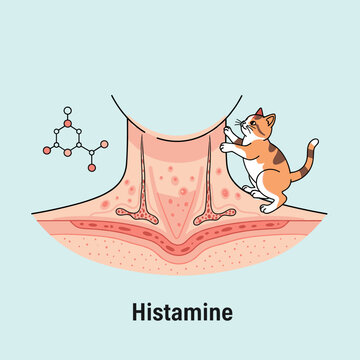 Cat allergy causing skin rash and irritation, pet dander triggering allergic reaction on human skin, dermatology and immune response concept, flat vector illustration