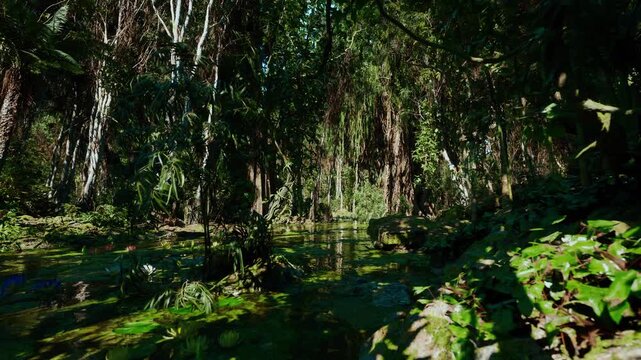 moody twilight swamp with low light reflections, towering cypress silhouettes and dense moss, atmospheric setting for fantasy filming, storytelling and creative