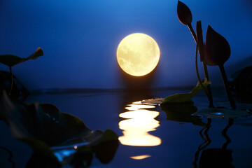 Full Moon Over Water with Lotus Flowers and Moonlight Ripples © DinhThi
