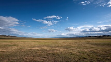 Obraz premium Expansive grassland landscape under a blue sky with scattered clouds, distant mountains visible on the horizon in a serene natural environment