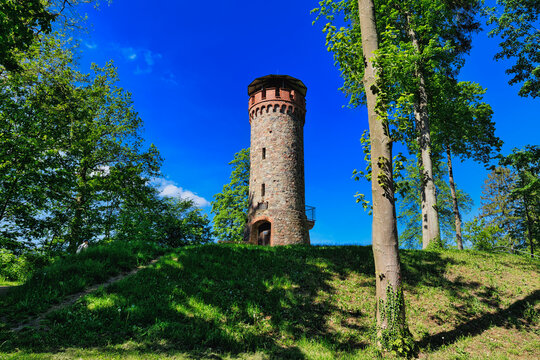 Historic Askanierturm observation tower in the forest at Lake Werbellin, Brandenburg, Germany - real photography - authentic - no ai