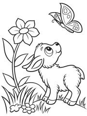 Obraz premium A lamb looking up at a butterfly
