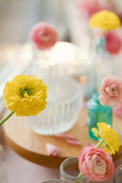 Yellow and pink ranunculus flowers in vases on a sunlit table