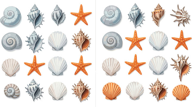 Seashell and Starfish Collection with Various Marine Shell Types Ocean Elements and Beach Summer Decoration Set for Coastal Design Illustration