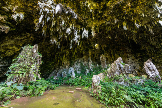 Interior of A�eo Cave in Rurutu with stalactites, stalagmites and lush ferns