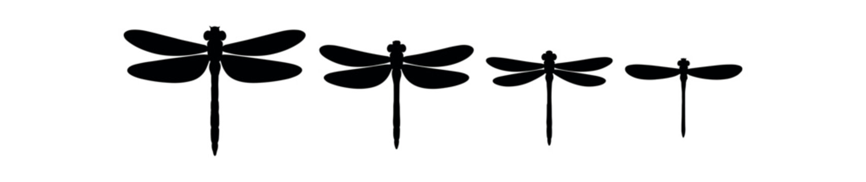 Four black dragonfly silhouettes in a row showing size variations