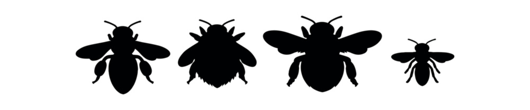 Four black bee and bumblebee silhouettes aligned horizontally