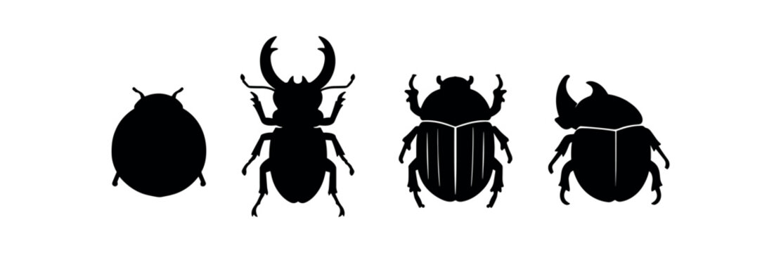 Four black beetle silhouettes including rounded and horned shapes in a row