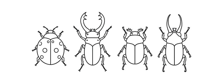 Four beetle outline icons with detailed legs and body segments in line art
