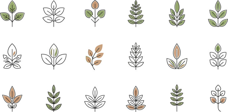 Collection of stylized leaf in green and brown with black outlines leaf plant nature botanical green leaf