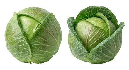Fototapeta premium Whole green cabbage heads isolated on white background