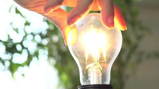 Screwing Bulb in Night, Turn On the Light Dark View, Turning the Light On a Led Bulb, Blackout, Electricity Concept, Pull Switch On Off, Global Warming Crises