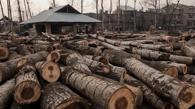 Large pile of freshly cut timber logs stacked on ground, many ready for processing, with building and trees in background