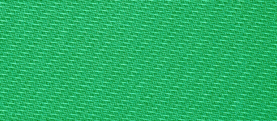 Fototapeta premium green fabric texture background