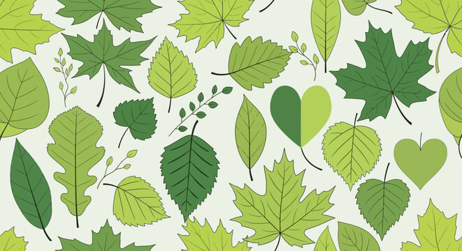 Variety of green leaves shapes.