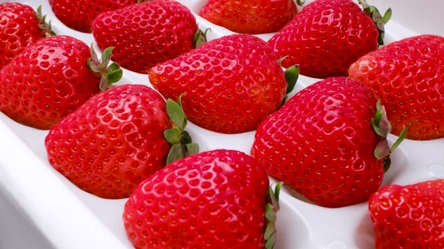 綺麗に並んだ箱入りのあまおう苺