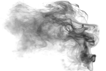 Fototapeta premium Elegant smoke effect with smooth gradients and airy transparency, ideal for modern digital artwork and design. vector