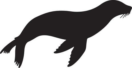  Sea Lion in silhouette on white background۔ © Faisal