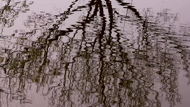 Abstract reflection of tree branches distorted and rippling in the moving water surface of a pond