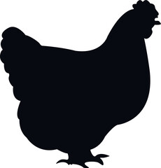 Chicken hand drawing silhouette © Sergio
