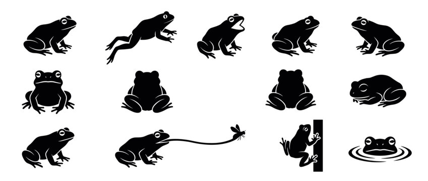 Black frog silhouettes are depicted in various natural poses, including jumping, sitting, croaking, and catching a fly, rendered in a clean graphic style