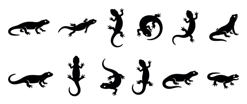 Multiple black lizard gecko silhouettes in various poses, showcasing their distinct reptilian forms with a graphic, illustrative style