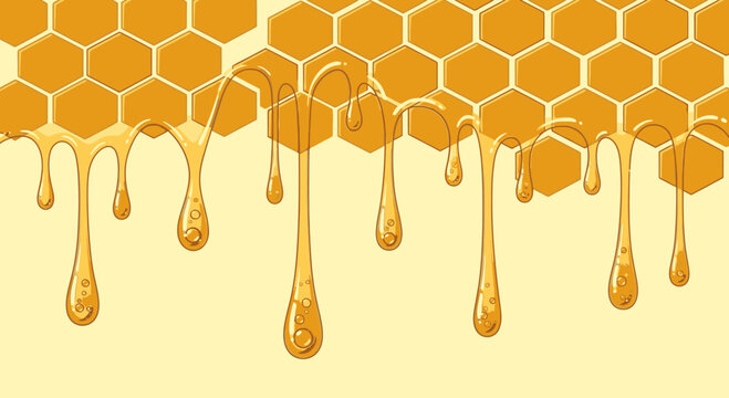 Honey dripping from honeycomb cells slowly 2.