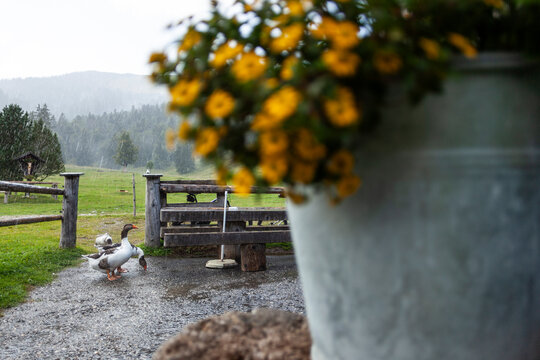 Krottenkopf mountain tour, Bavaria, Germany