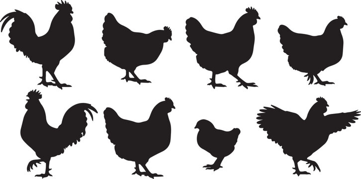 Collection of black silhouette roosters and hens in various poses