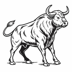 Fototapeta premium Bull vintage isolated illustration in black and white woodcut style. Detailed hand drawn in expressive. Vector line art on white background.