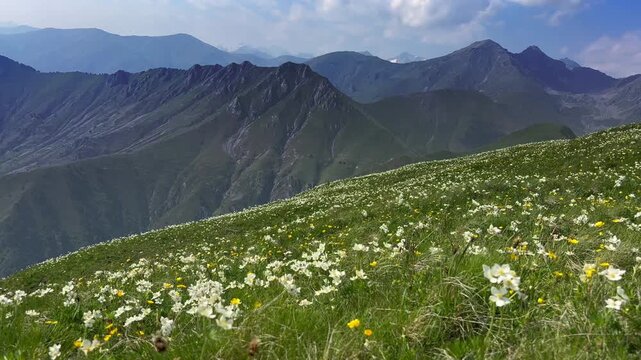 Mountain landscape in Parc national du Mercantour in the Alpes-Maritimes in France near the Col de Turini and the Fort de la Redoute.