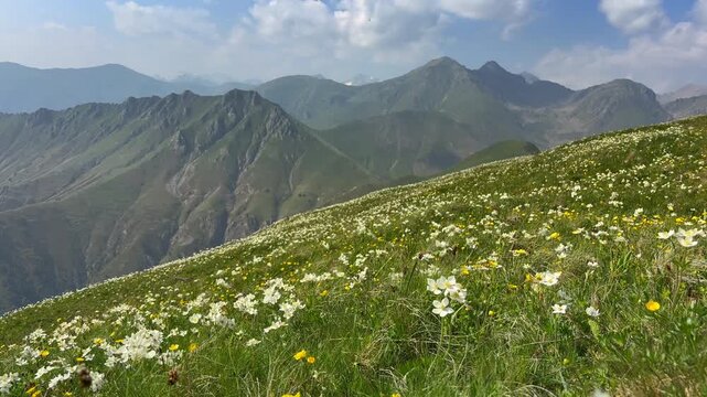 Mountain landscape in Parc national du Mercantour in the Alpes-Maritimes in France near the Col de Turini and the Fort de la Redoute.