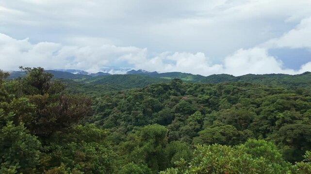 An aerial view of Monteverde's lush cloud forests in Costa Rica, featuring dense tropical vegetation, a misty canopy, and a cloudy sky in a vibrant display of biodiversity and natural beauty.