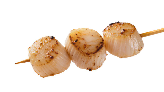 Delicious golden brown grilled scallops on a wooden skewer, perfectly seared and isolated PNG for seafood menus and culinary designs