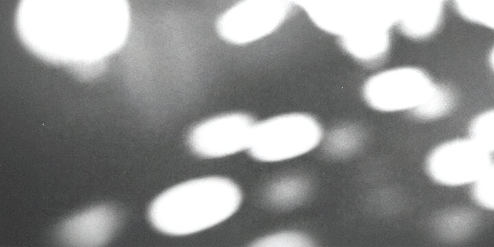 Monochrome abstract blurred bokeh lights circular out of focus soft spots black and white background vector illustration