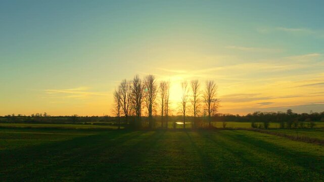 Farmland sunset landscape over green agricultural field, warm golden evening sky spreading light. Row of bare trees rising along countryside horizon, sunlight flowing across rural farming land. Long
