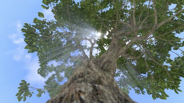 Beautiful tree of life against bright sun, low angle