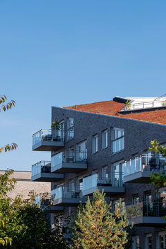 Green roof plants on modern building in oslo norway show urban ecology and sustainability through rooftop garden landscape and climate resilience