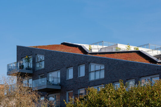 Modern building in oslo norway features green roof plants supporting urban architecture and sustainability with natural rooftop garden design