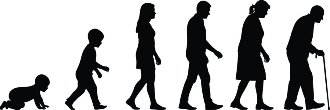 Evolution of human life stages from infancy to old age