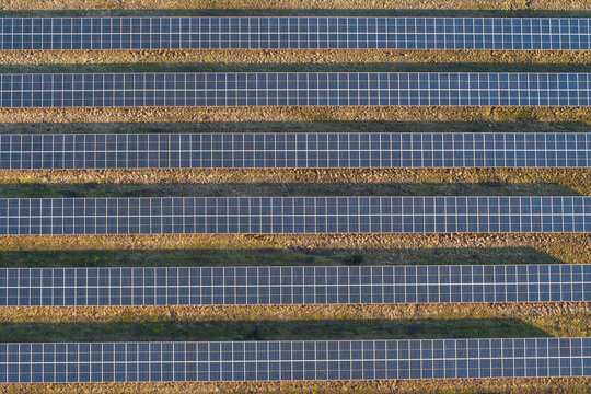 Aerial view of neatly arranged solar panels stretch across the landscape, creating a striking contrast of dark blue against the golden fields, Wizna, Podlaskie Voivodeship, Poland.