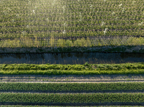 Aerial view of vibrant green fields divided by a narrow canal, creating a striking contrast between the lush agricultural land and the water, Hem, North Holland, Netherlands.