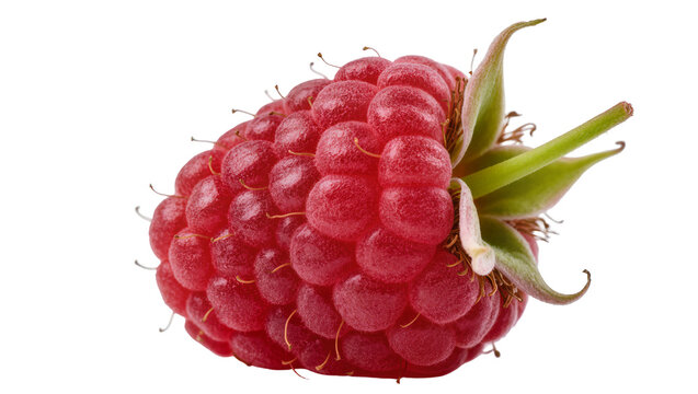 Fresh ripe red raspberry with vibrant green calyx, perfectly isolated, a sweet and juicy berry fruit PNG for healthy food concepts