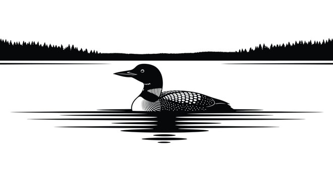 A striking black and white image depicts a common loon swimming on water framed by trees in silhouette high quality professional